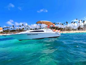 A sleek speedboat named 'Roka Nautica' anchored in clear turquoise waters, surrounded by a picturesque beach and palm trees, perfect for a day of relaxation on the water.