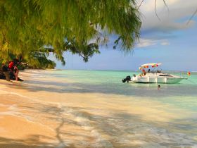 A lively scene at the beach with a boat anchored nearby, where guests enjoy swimming and fun in the sun — a perfect day for water activities.
