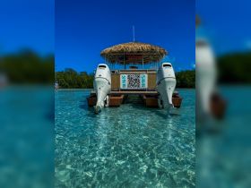 A tiki boat with outboard motors anchored in clear turquoise waters, perfect for tropical adventures. A person is visible in the background, adding to the lively atmosphere.