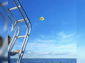 A thrilling parasailing experience is captured from a boat, showcasing the excitement of adventure on the water against a clear blue sky.