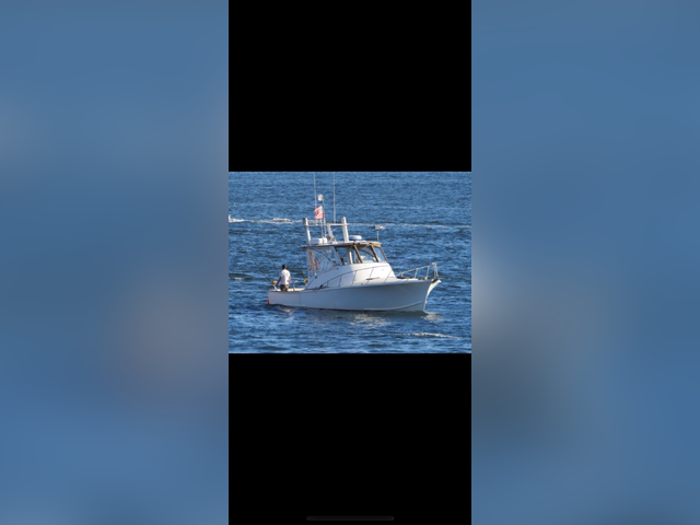 Listing image 1068416