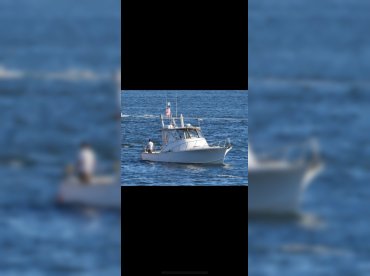 10 Point Charters