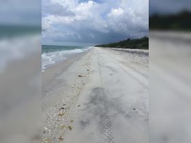 A serene beach scene with tire tracks leading towards the water, showcasing the natural beauty of the coastline.