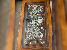 A beautifully arranged display of seashells, sea glass, and a starfish, perfect for beach-themed decor or souvenirs from coastal adventures.