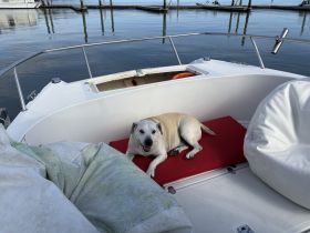 A relaxed dog lounges on a comfortable red cushion aboard a boat, showcasing a cozy interior space perfect for enjoying time on the water.