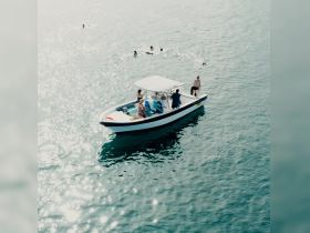 A lively group enjoys a day on the water, with some swimming around a boat — a perfect scene for summer fun and aquatic adventures.