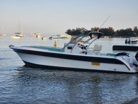 A sleek speedboat named 'Papa Casale III' docked in calm waters, surrounded by other vessels, perfect for a day of adventure on the water.