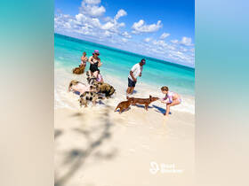 Charter Image