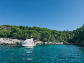 A serene view of a yacht anchored near a lush green coastline, showcasing the beauty of nature and the tranquility of boating.