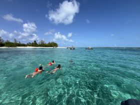 A group of snorkelers enjoys the vibrant underwater world in crystal-clear waters, surrounded by a picturesque beach backdrop — a perfect day for aquatic adventures.