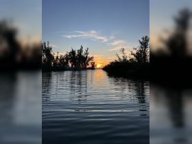 A stunning sunset reflects on calm waters, framed by lush trees — a picturesque moment perfect for serene evening boat rides.