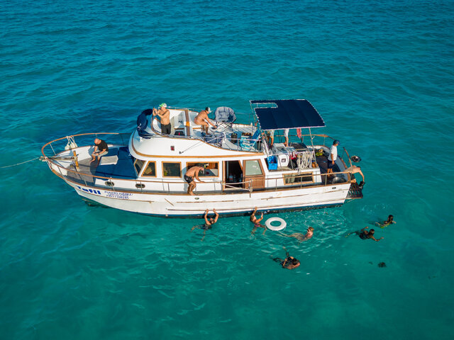 Listing image 1069159