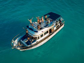A lively group celebrates aboard a boat, enjoying the sun and turquoise waters — perfect for unforgettable party experiences on the water.