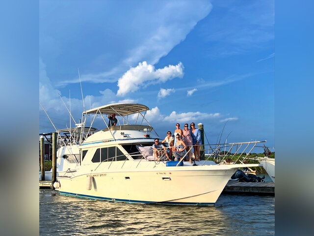 Listing image 1100761