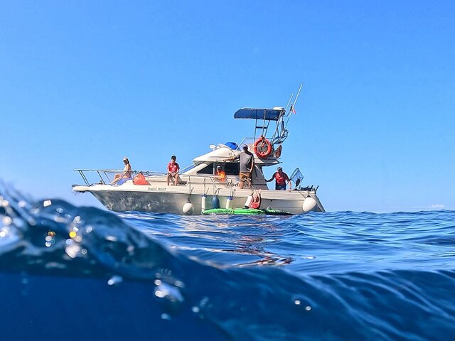 Listing image 1106451