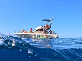 A lively group enjoys a day on the water aboard the 'Magic Boat,' with activities including kayaking and relaxing in the sun — perfect for a fun-filled adventure.