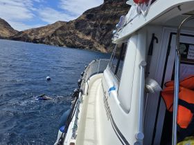 A snorkeler explores the vibrant underwater world near a rugged coastline, showcasing the thrill of marine adventures.