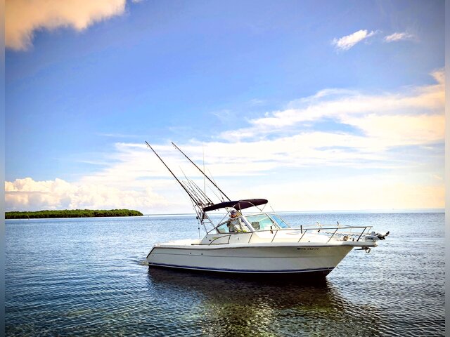 Listing image 1131588