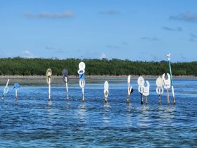 An unclear image featuring various markers in shallow water, surrounded by mangroves. The focus is ambiguous, making it difficult to identify the main subject.