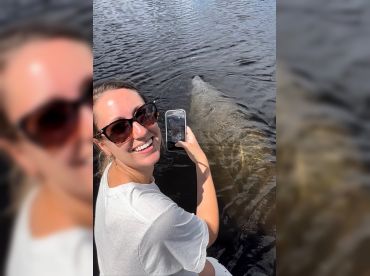 Manatee Sightseeing And Wildlife Boat Tour