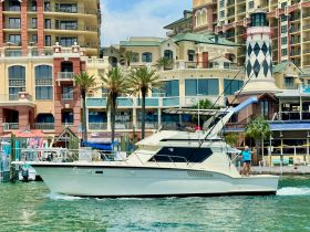 A boat navigates through the water with a person waving from the deck, showcasing a lively atmosphere perfect for summer outings.