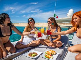 A lively group of friends enjoys cocktails and delicious food on the deck of a yacht, celebrating under the sun — perfect for a fun day on the water.