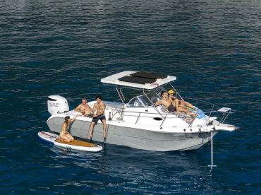 BLUEFIN Experiences