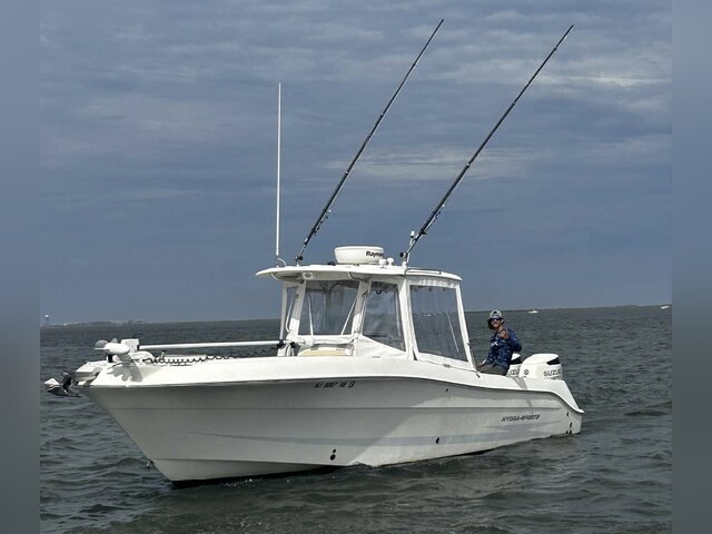 Listing image 1069847