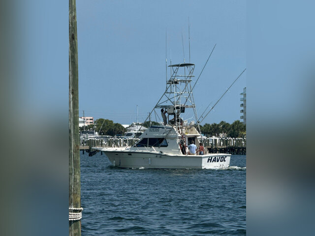 Listing image 1070038