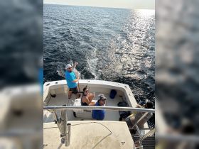 A lively group enjoys a fishing trip on the ocean, showcasing camaraderie and adventure aboard their boat.