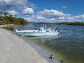 A sleek speedboat is docked on a sandy shore, surrounded by lush greenery and a clear blue sky, perfect for a day of exploration on the water.