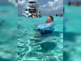 A lively scene of guests enjoying a refreshing swim in crystal-clear waters, with a boat anchored nearby, perfect for a fun day on the water.
