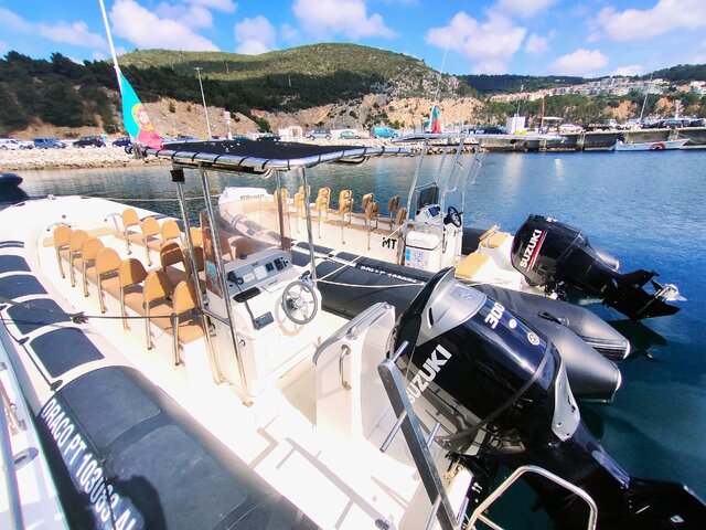Listing image 1070407