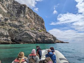 A group of guests enjoys a scenic boat ride along a stunning coastline, surrounded by dramatic cliffs and clear turquoise waters.