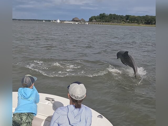 Listing image 1070453