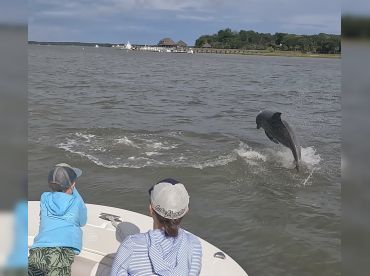 Cross Island Cruises 90 Minute Dolphin Tour