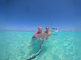 Two individuals interact with a stingray in crystal-clear waters, creating a memorable wildlife experience in a tropical paradise.
