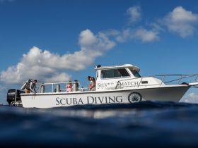 A group prepares for a scuba diving adventure aboard the Silver Hatch, showcasing the excitement of underwater exploration.