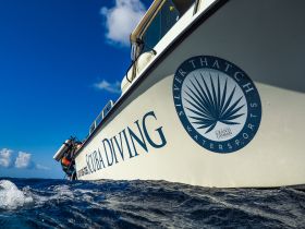 A close-up view of a scuba diving boat named 'Silver Thatch Watersports' in clear waters, showcasing its readiness for underwater adventures in Grand Cayman.