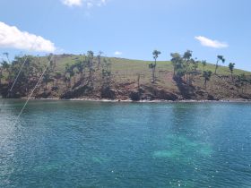 A picturesque view of a lush green coastline with clear turquoise waters, perfect for showcasing the natural beauty of the area.