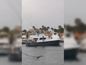A fishing boat with crew members is seen navigating through the harbor, showcasing the vibrant atmosphere of a bustling marina.