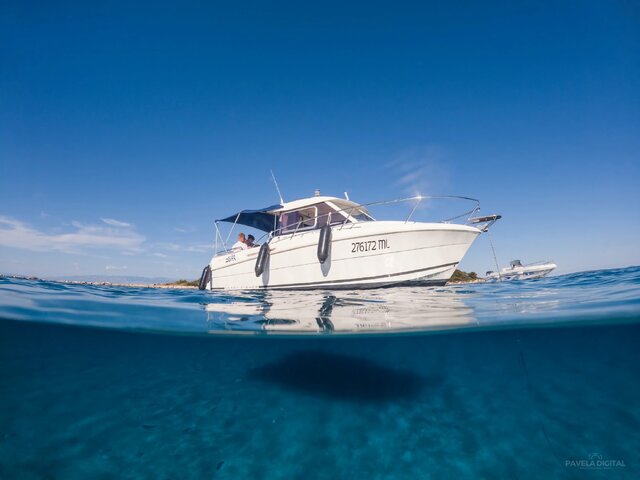 Listing image 1071072