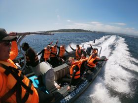 A lively group enjoys an exciting boat adventure, showcasing smiles and waves as they cruise through the ocean, perfect for thrill-seekers and adventure lovers.