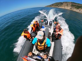 A lively group enjoys a thrilling ride on a boat, showcasing the excitement of on-water adventures in a beautiful setting.