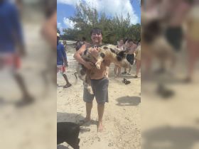 A joyful moment captured with a man holding a pig on a beach, showcasing the unique experience of interacting with wildlife in the Bahamas.