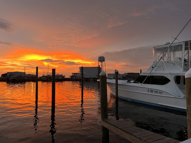 Listing image 1074336
