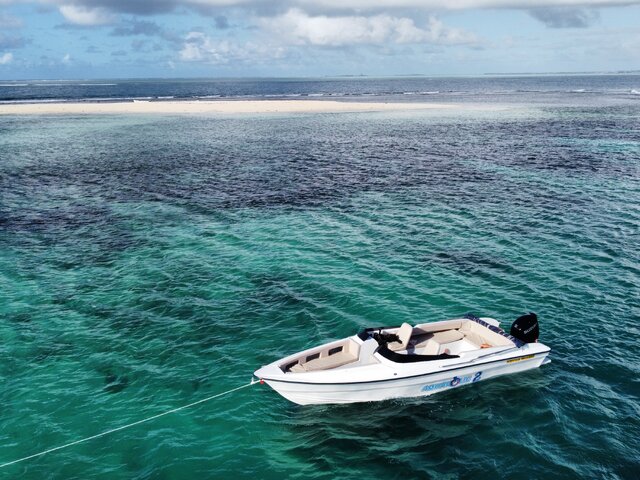 Listing image 1109847