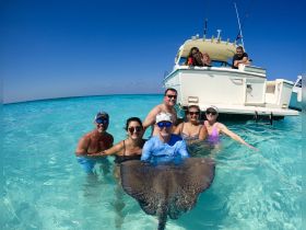 A group of friends interacts with a stingray in the clear waters, creating a memorable wildlife experience while enjoying their day on the boat.