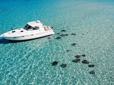 Island Breeze Charters