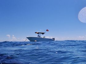 A boat is anchored while a person enjoys snorkeling in the clear blue waters, showcasing a perfect day for underwater exploration.